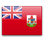 flag of BM