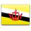 flag of BN