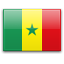 flag of SN